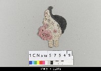 藏品(中國湖北皮影戲偶頭-猴)的圖片
